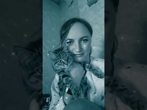 Видео: 28 октября 2025 г.