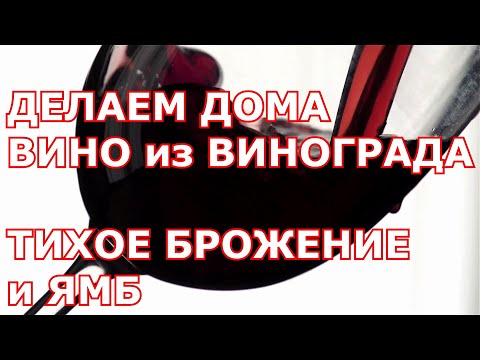 Видео: ч 5  Домашнее ВИНО из ВИНОГРАДА. ТИХОЕ БРОЖЕНИЕ  и ЯМБ