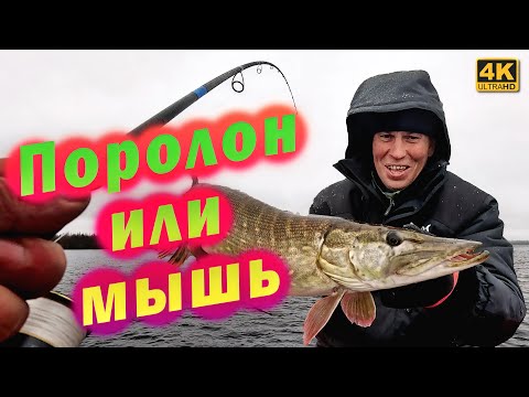 Видео: На что лучше клюёт ЩУКА, Поролоновая рыбка или МЫШЬ?
