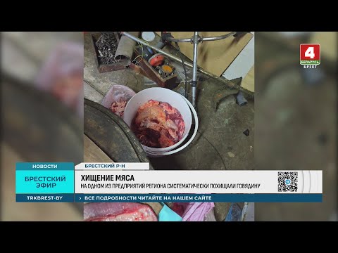 Видео: ХИЩЕНИЕ МЯСА