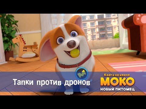 Видео: Корги по имени Моко. Новый питомец - Серия 26.Тапки против дронов - Премьера мультфильма