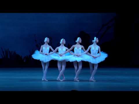 Видео: Танец маленьких лебедей ( Dance of the little swans from Swan Lake)