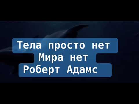 Видео: Роберт Адамс Адвайта, Тела просто нет, мира нет ❤️❤️❤️