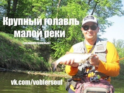 Видео: Ловля голавля на малой реке. "Голавль начала лета"