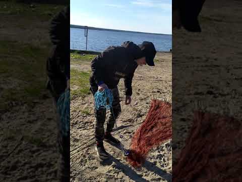 Видео: САМЫЙ ЛУЧШИЙ И ПРОСТЕЙШИЙ СПОСОБ ЗАБРОСА КАСТИНГОВОЙ СЕТИ/СЕТЬ АМЕРИКАНСКОГО ТИПА 7,2м ДИАМЕТР