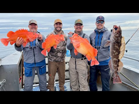 Видео: Рыбалка на палтуса, лосося, морского окуня и линкода в Сьюарде, Аляска! Рыбалка с причалом Миллерс!