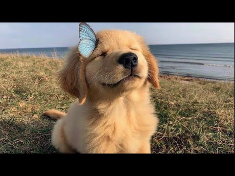 Видео: Плейлист – Для тех, кто по-настоящему чувствует осень ☕🎶 атмосферный хип-хоп R&B POP
