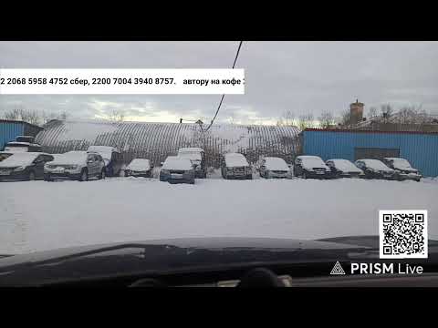 Видео: Прямая трансляция За полярным кругом