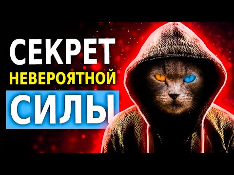 Видео: Почему Одни Получают Всё, а Другие Ничего (Правило 1%)