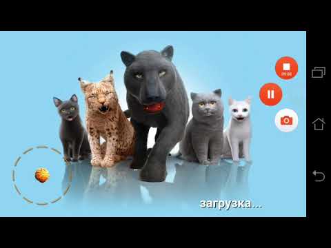 Видео: ПОШЁЛ, ПОШЁЛ ... И УШЁЛ | Cat Simulator | Симулятор Кошки