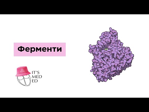 Видео: Біохімія. Ферменти.