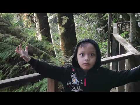 Видео: В Тайланд на отдых 9. Самая высокая точка Doi Inthanon. Встреча и расставание с друзьями.