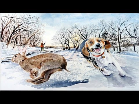 Видео: ОХОТА на ЗАЙЦА / ПОДНЯЛИ С ЛЕЖКИ / ДОБЫЛИ ЗАЙЦА ПО ПЕРВОМУ СНЕГУ / ОХОТА С ГОНЧЕЙ