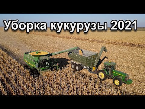 Видео: Уборка кукурузы 2021г.Комбайн John Deere 9770 STS