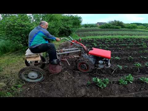Видео: Навіщо підгортати картоплю?