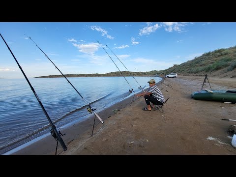 Видео: шардара рыбалка