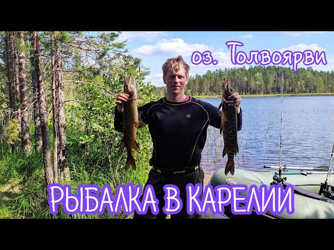 Видео: Рыбалка в Карелии. Толвоярви. 1 часть