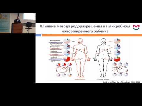 Видео: 18.02.2017 - Функциональные взаимодействия микробиоты кишечника с организмом хозяина.