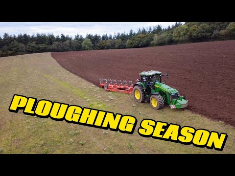 Видео: Вспашка и сев, уборка озимых зерновых