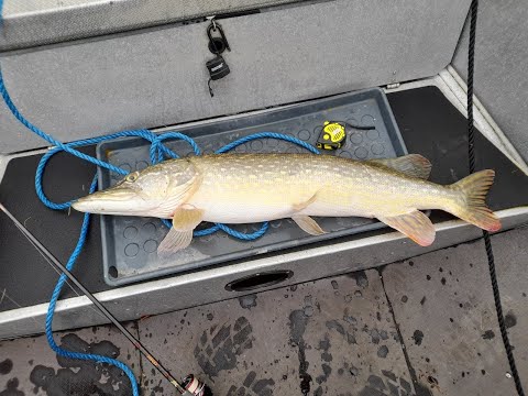 Видео: Идеальное завершение лодочного сезона!