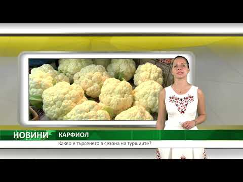 Видео: Централна емисия новини на АГРО ТВ – 06.11.2025 г.