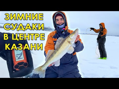 Видео: Эти подходы судака будут мне сниться! Зимняя рыбалка на вибы.