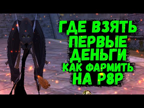 Видео: ГДЕ ВЗЯТЬ ПЕРВЫЕ ДЕНЬГИ ИЛИ КАК НАФАРМИТЬ НА Р8Р Comaback 1.4.6 X Perfect World