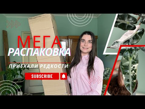 Видео: МЕГА-распаковка растений. Приехали редкости!