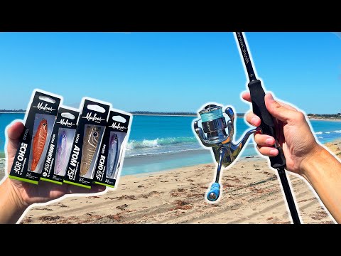 Видео: Забрасываем микроприманки с пляжа! — Рыбалка в Порт-Кеннеди