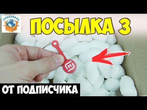 Видео: Я в Шоке! Юбилейный Скрепыш! Спиннер и Фишки Гормити от Подписчика. Распаковка Посылки | СПЕЦЗАКАЗ
