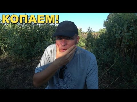 Видео: Покажу Крутую находку. Такое не увидеть каждый день!