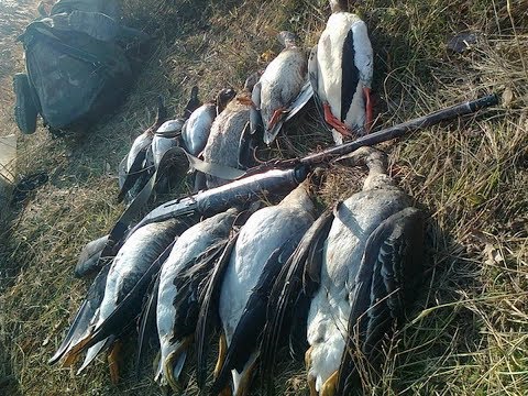 Видео: Дальнобойные патроны. Порох и дробь.Советы Андрея Войцеховского. Ч. 5