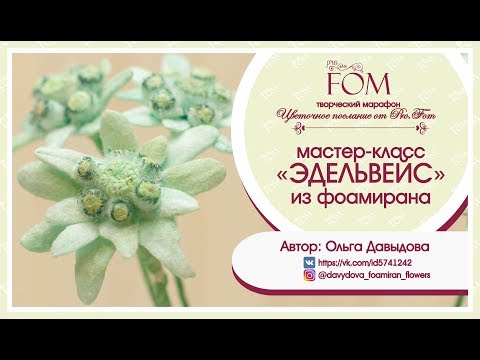 Видео: Pro.FOM/Про.ФОМ/ Мастер класс Эдельвейс из фоамирана.  О. Давыдова