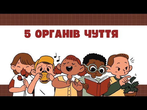 Видео: Як працюють органи чуття людини? Досліджуємо світ разом!