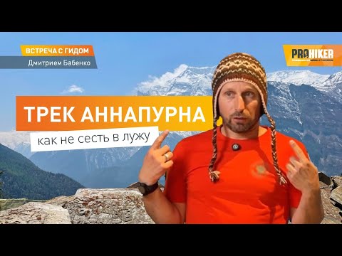 Видео: Трек Аннапурна: как не сесть в лужу. Встреча с гидом Дмитрием Бабенко.