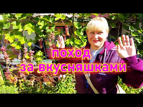 Видео: Рынок в Германии.  Русский магазин - Цены.  Наша жизнь в Германии.
