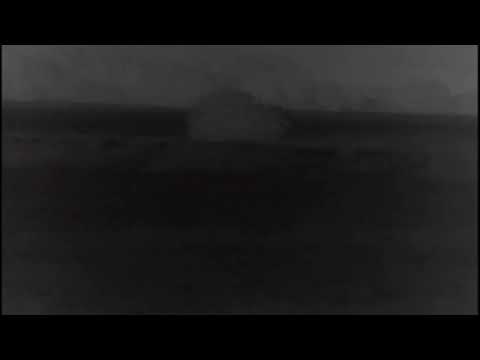 Видео: ОХОТА НА ВОЛКА, НА ПЕРЕХОДЕ. НУ КАБАН ДАЛ АДРЕНАЛИНА.#охотанаволка#волк#кабан#засидка#наволкасвышки