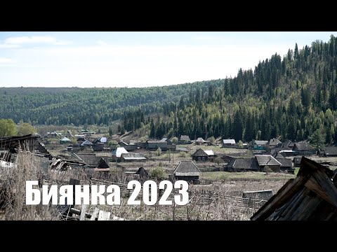 Видео: Биянка 2023