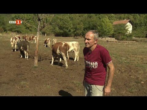 Видео: Неочакваните пътешествия на фермерските мечти, Бразди - 01.11.2025 по БНТ