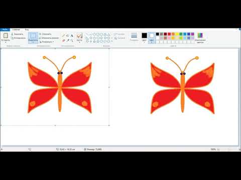 Видео: Графический редактор PAINT создание изображений