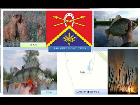 Видео: Рыбалка возле хутора Богачев. Милютинского района Ростовской области "Богачевский пруд".