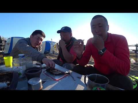 Видео: Каков он на вкус копченый карась? Охота на уток в Якутии 2020