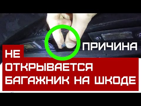 Видео: Не открывается багажник на Шкоде Октавия А5/VW/Audi/Skoda. Причина — закисшие контакты