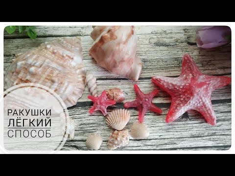 Видео: Мыловарение • Ракушки
