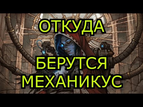 Видео: Откуда берутся Механикус| Warhammer 40000