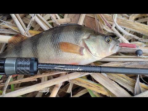 Видео: РИБАЛКА ОКУНЬ НЕРЕСТ ВЕСНА УЛЬТРАЛАЙТ СПІНІНГ МІКРОДЖИГ  Sawada 610SULS