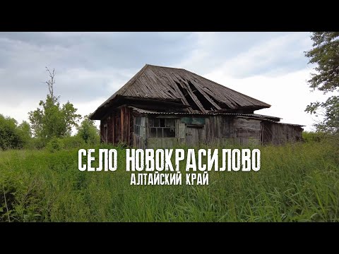 Видео: Вымирающее Село Новокрасилово Заринский район Алтайского края