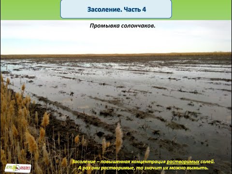 Видео: Засоление почвы. Часть 4 "Промывка солончаков"