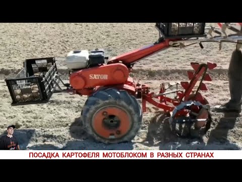 Видео: ПОСАДКА КАРТОФЕЛЯ МОТОБЛОКОМ В РАЗНЫХ СТРАНАХ МИРА / PLANTING POTATOES IN DIFFERENT COUNTRIES ,WORLD