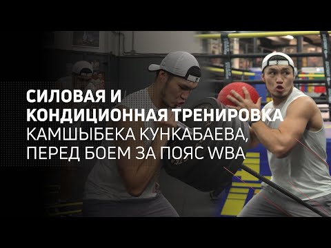 Видео: Силовая и кондиционная тренировка Камшыбека Кункабаева, перед боем за пояс WBA